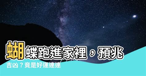 蝴蝶跑進家裡|【蝴蝶飛進家裏】驚！蝴蝶飛進家裡，原來是天大的吉兆，別不識。